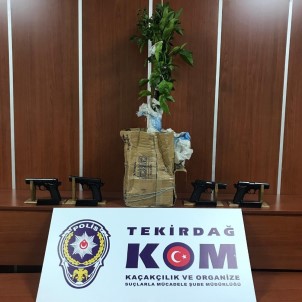 Saksıda Kaçak Silah