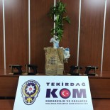 SİLAH KAÇAKÇILIĞI - Saksıda Kaçak Silah