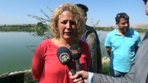 AFYON KOCATEPE ÜNIVERSITESI - Tedavisi Tamamlanan 7 Leylek İle Gökdoğan Doğaya Salındı