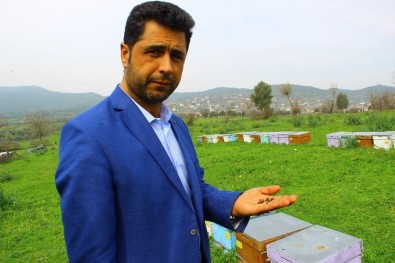 Aydınlı Arıcıya Ceza Şoku