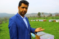 Aydınlı Arıcıya Ceza Şoku