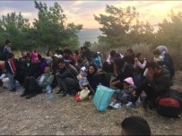 Ayvalık'ta 48 Göçmen 3 Organizatör Yakalandı