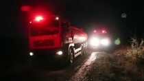 ANIZ YANGINI - Bolu'da Orman Yangını