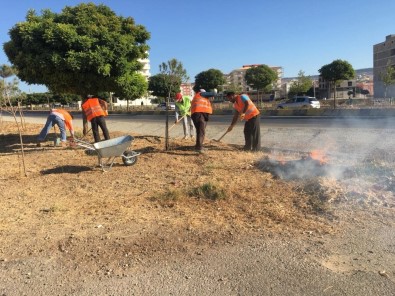 Bulvarların Ve Refüjlerin Bakımları Yapılıyor