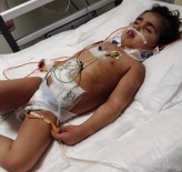 BÖBREK NAKLİ - Doğuştan Hasta Olan Çocuk Böbrek Nakli Bekliyor