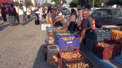 Germencik'te Kuru İncir Hırsızlığını Önleme Çalışmaları