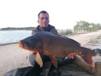 PELITÖZÜ - Gölpark'taki Balık Popülasyonu Artıyor