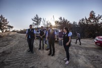 ORMAN YANGıNLARı - İlk İşi Yangın Alanında İnceleme Oldu