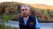 ÇIÇEKLI - İzmir Karabağlar'daki Orman Yangını
