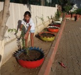 ÇIÇEKLI - Kıbrıs İlkokulu Çiçeklerle Renklendi