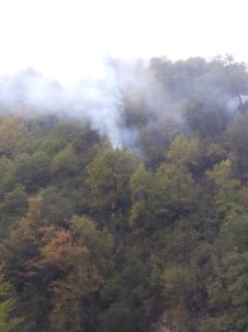Sinop'taki Orman Yangını Kontrol Altına Alındı