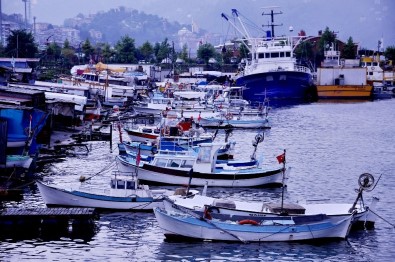 Arslan Açıklaması 'Karadeniz Alarm Veriyor, Balık Av Sezonu Kasım'da Kapanabilir'