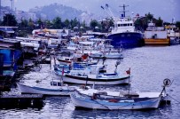 GıRGıR - Arslan Açıklaması 'Karadeniz Alarm Veriyor, Balık Av Sezonu Kasım'da Kapanabilir'