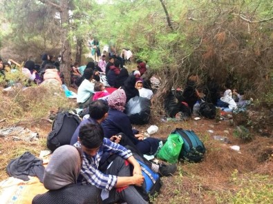 Ayvalık'ta 48 Göçmen Ve 3 Organizatör Yakalandı