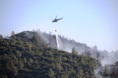 Bodrum'daki Orman Yangını Güçlükle Kontrol Altına Aldı