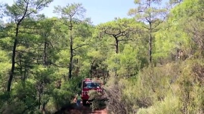 GÜNCELLEME 3 - Muğla'da Orman Yangını