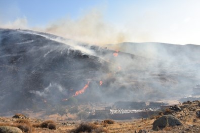 İzmir'de 2 İlçede Orman Yangını