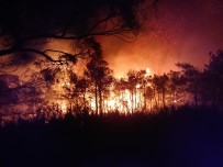 Ortaca'daki Yangına Şiddetli Rüzgar Nedeniyle Güçlükle Müdahale Ediliyor