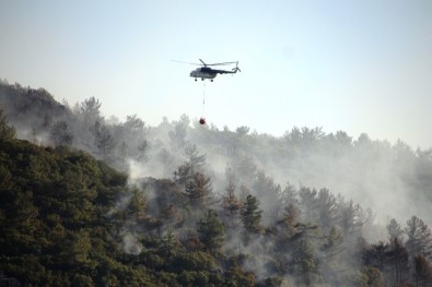 Tarım Ve Orman Bakanlığı Bugün Çıkan Yangınlarla İlgili Açıklama Yaptı