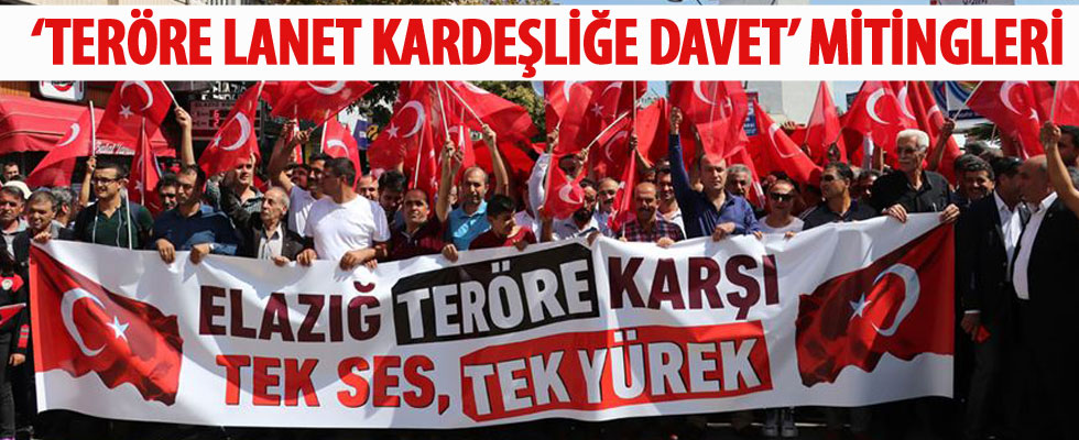 'Teröre Lanet, Kardeşliğe Davet' mitingleri