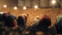 MEHMET DEMIRCI - Üretimdeki Artış Patates Fiyatını Düşürdü