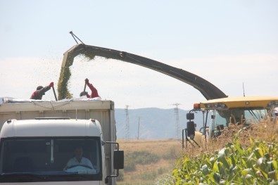 733 Milyonluk Yatırım Bitmeden, Çiftçiye Katkı Sağlamaya Başladı