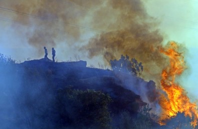 Antalya'da Mahalleliyi Sokağa Döken Yangın