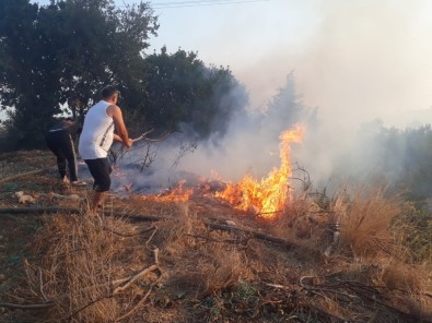 Antalya'da Makilik Alanda Yangın