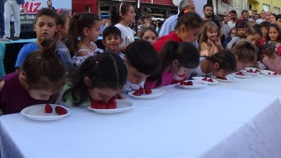 Bursa'da İlki Düzenlenen Çilek Festivali Yoğun İlgi Gördü