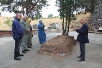 ÜÇÜNCÜ DÜNYA SAVAŞı - Filistinli Musa Hicazi'nin 'Erdoğan' Sevgisi