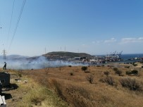 EGE GÜBRE - İzmir'de Makilik Ve Otluk Alanda Yangın