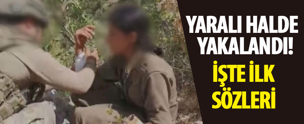 Yaralı halde yakalandı! İşte ilk sözleri