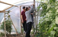 HOBİ BAHÇESİ - Meslek Lisesi Öğrencileri Okul Bahçelerine Akıllı Sera Kurdu