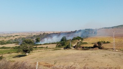 Tekirdağ'da Orman Yangını Açıklaması Yüzlerce Dönüm Alan Kül Oldu