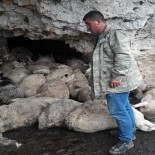 DERNEK BAŞKANI - Yıldırım Düşmesi Sonucu 60 Küçükbaş Hayvan Telef Oldu