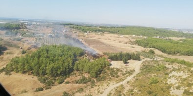 Arap Beleni'nde Çıkan Yangın, Ormana Ulaşmadan Söndürüldü