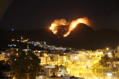Bodrum'da Makilik Alanda Korkutan Yangın