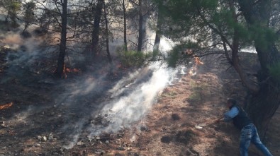 Buldan'da 2,5 Hektarlık Ormanlık Alan Yandı
