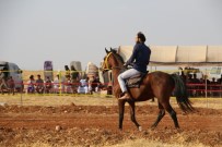 AT YARIŞI - El Bab'da At Yarışı Coşkuyla İzlendi