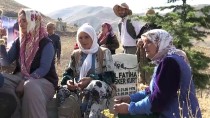 GEÇITLI - Hakkari'de PKK'nın Katlettiği Siviller Anıldı
