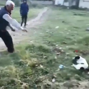 Önce Köpeğe, Sonra Duruma Tepki Gösteren Gence Taş Attı