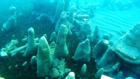 ÇELEBIBAĞı - Van Gölü'nün Erciş Sahillerinde Su Altı Mikrobiyalitlere Rastlandı