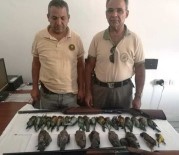 AVCILIK - Yasak Kuş Avına 14 Bin Lira Para Cezası