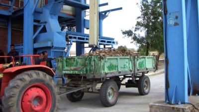 Yozgat Şeker Fabrikasında Pancar Alımları Başladı