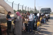 ÖNCÜPINAR - Bayramı Ülkelerinde Geçiren Suriyelilerin Dönüşleri Sürüyor