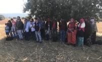 Çanakkale'de 32 Mülteci Yakalandı