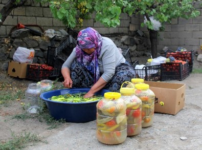 Erzincan'da Kadınların Turşu Mesaisi Başladı