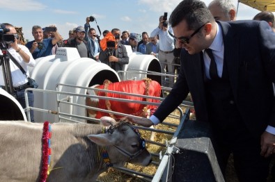 Erzurum'da Tarla Günü Şenlikleri Düzenlendi