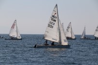 İSVIÇRE - EUROSAF Avrupa Pirat Şampiyonası Kocaeli'de Başladı