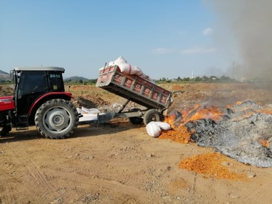 Gaziantep 'Te 25 Ton Bozulmuş Domates Ele Geçirildi